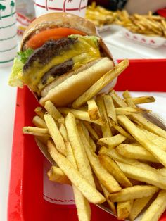 a tray with fries and a hamburger on it