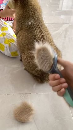 a person holding a hair brush in front of a stuffed animal that is on the floor