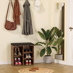 shoes are lined up on the wall next to a potted plant and coat rack