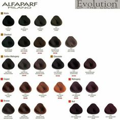 The Alfaparf Milano Evolution of the Hair Color Dye Haircolor Cube is the ultimate solution for anyone looking to achieve flawless color results with long-lasting vibrancy. This updated hair color line offers a complete range of natural and sophisticated shades that are sure to suit any style or preference.The vegan formula is enhanced with PATENTED COLOR GUARD TECHNOLOGY, ensuring that your hair color stays true and vibrant for longer. This comprehensive color protection system not only guarant Light Mahogany Hair Color, Dark Reddish Brown Hair Color, 1b Hair Color, Clairol Hair Color, Clairol Natural Instincts, Medium Ash Blonde, Dyed Hair Blue, Copper Blonde, Chestnut Hair Color