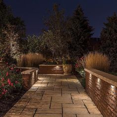 an outdoor walkway lit up at night with flowers and shrubs in the foreground on either side