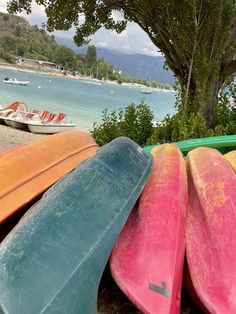 several surfboards are lined up next to each other on the sand near water and trees