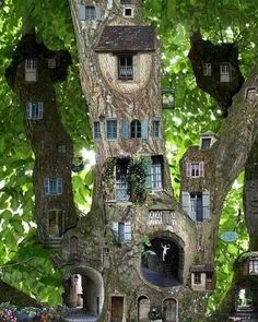 a tree house built into the side of a tree in a forest with lots of windows