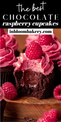 the best chocolate raspberry cupcakes are made with fresh raspberries