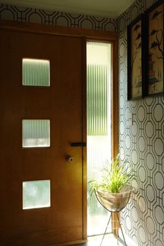 a door with a potted plant next to it