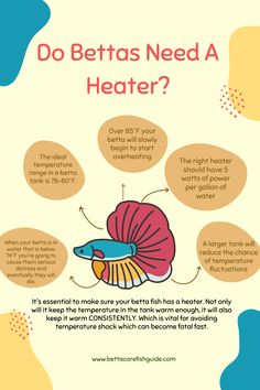 a poster with words describing how do bettass need a heater? on it