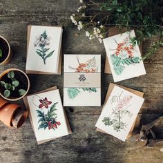 four cards with flowers on them sitting next to some potted plants and other items