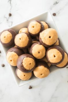 chocolate covered peanut butter balls in a square white bowl on a marble countertop with coffee beans