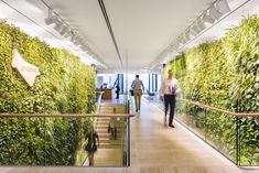 two people walking down the stairs in an office with green walls on both sides and wooden handrails