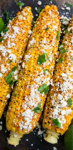 grilled corn on the cob with parmesan cheese and cilantro