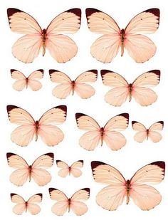 a group of pink butterflies on a white background