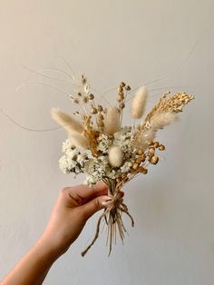 a hand holding a bunch of dried flowers in front of a white wall with dry grass