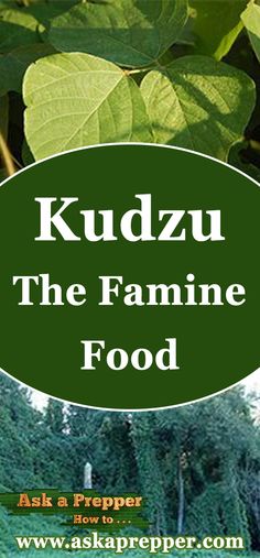 kudzu the famne food is in front of some trees and bushes