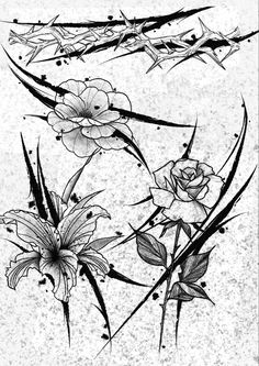 an ink drawing of flowers and barbed wire