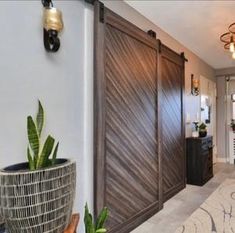 a living room with a couch and two doors leading to another room that has a potted plant on the floor