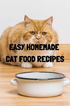 an orange and white cat sitting on top of a wooden floor next to a pan