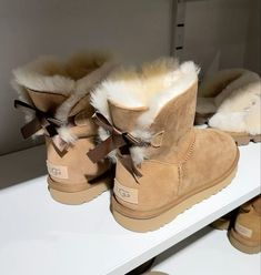 Uggs Mini, Mini Baileys, Bailey Bow Uggs, Ugg Mini, Bow Boots