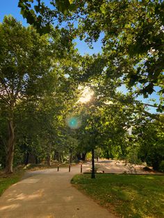 the sun shines brightly through the trees on a sunny day in an open park