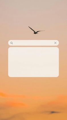 a bird flying in the sky at sunset or dawn with an empty screen below it