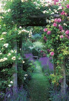 a garden with lots of flowers growing on it