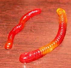 a red and yellow caterpillar sitting on top of a wooden table