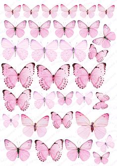 pink butterflies are arranged in rows on a white background