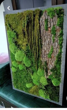 a moss covered wall hanging on the side of a door