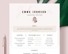 a professional resume template on top of a pink background with a green plant next to it