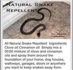 a snake that is laying on the ground next to a door with caption about it