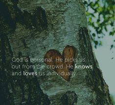 a heart carved into the bark of a tree that says god is personal he picks us out from the crowd, he knows and loves us individually