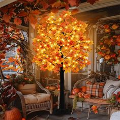 a room filled with lots of pumpkins and fall leaves on the floor next to a tree