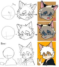 how to draw an anime cat with different facial expressions and head shapes, step by step