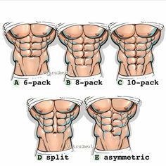 six different positions of the back and chest