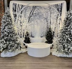 Feeling the holiday spirit and ready to deck the halls! 🎄✨ Check out these festive Christmas decor ideas to make your home merry and bright. #ChristmasDecor #HolidayCheer #DeckTheHalls #FestiveVibes #TisTheSeason #JoyToTheWorld #WinterWonderland #CozyHome #MagicalMoments #SpreadLoveAndJoy Snow Backdrop Diy, Winter Photo Booth Backdrop, Elegant Winter Wonderland Party, Snow Christmas Party Theme, Snowball Christmas Decor, Winter Wonderland Entrance Ideas, Diy Christmas Backdrops For Photos, Winter Party Backdrop, Snowglobe Party Theme