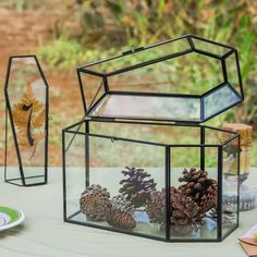 two glass boxes filled with pine cones sitting on top of a table next to a plate