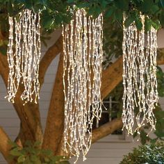 some lights hanging from a tree in front of a house