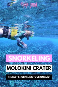 Best Molokini Crater snorkeling tour, featuring stunning views and marine life on your Maui adventure, with top tips for snorkeling Maui. Maui Itinerary, Best Snorkeling, Maui Vacation, Crystal Clear Water, Marine Life, Snorkeling, Maui