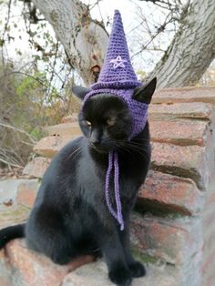 a black cat wearing a purple knitted hat sitting on top of a stone wall