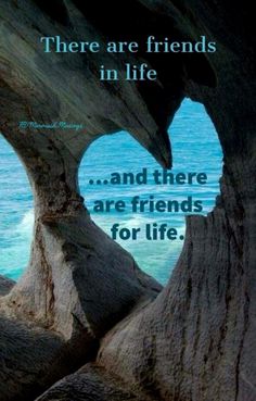 there are friends in life and there are friends for life quote on the rocks by the ocean