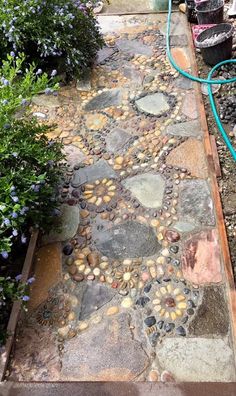 a garden with rocks and plants in the background, water hose attached to it's side