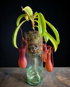 a glass vase filled with flowers and plants on top of a wooden table in front of a black background