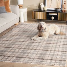 a white dog laying on top of a rug in a living room