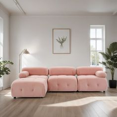 a pink couch sitting on top of a hard wood floor next to a potted plant