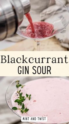 blackcurrant gin sour cocktail in a martini glass garnished with mint and twist