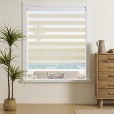 a living room with a window covered in blinds and a potted plant next to the window