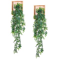 two wooden frames with green plants hanging from them