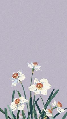 some white and orange flowers on a purple background