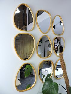 several mirrors are arranged on the wall near a potted plant