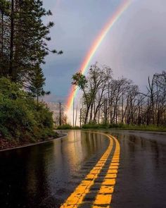 a rainbow appears over a wet road in the middle of the day with trees on either side