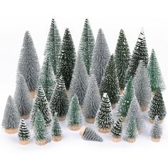 a group of small christmas trees sitting next to each other